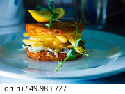 meat hamburger with french fries and pickled cucumbers decorated piece of lemon. Стоковое фото, агентство Ingram Publishing / Фотобанк Лори
