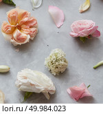 Closeup of different flowers represented separately over grey background. Beautiful flowers over grey background copy space.. Composition of flowers on grey background. Стоковое фото, агентство Ingram Publishing / Фотобанк Лори