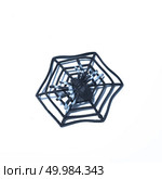 Spider fakes for use in Halloween. Стоковое фото, агентство Ingram Publishing / Фотобанк Лори