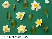 Floral frame with white flowers and green leaves over green background. Green leaves and white flowers represented separately.. Floral frame with flowers. Стоковое фото, агентство Ingram Publishing / Фотобанк Лори