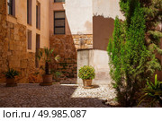 Palma de Mallorca architecture in Spain. Green trees or bushes decorating narrow street where many people live.. View on Palma de Mallorca. Стоковое фото, агентство Ingram Publishing / Фотобанк Лори