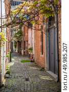 View old street with trees in Brussels, Belgium. cobbled streets of Brussels. Стоковое фото, агентство Ingram Publishing / Фотобанк Лори