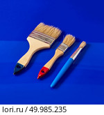 The paint brushes of different shapes for apartment repair and finishing works isolated on a blue background with copy space.. The set of brushes for painting the surface and apartment repair on a blue background. Стоковое фото, агентство Ingram Publishing / Фотобанк Лори