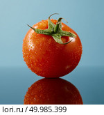 Single red tomato with water drops isolated on glossy blue background. Full depth of field.. tomato with water drops isolated on the glossy blue background. Стоковое фото, агентство Ingram Publishing / Фотобанк Лори