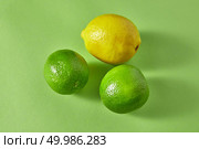 Citrus fruits on a green background. Top view of a group of green limes and one yellow lemon.. Organic natural ripe bright green limes and one yellow lemon on a green background. Стоковое фото, агентство Ingram Publishing / Фотобанк Лори