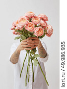 woman holding a bouquet made from fresh pink roses on a gray background, valentine’s day, mother’s day. the girl is holding a bouquet of fresh pink roses, Стоковое фото, агентство Ingram Publishing / Фотобанк Лори