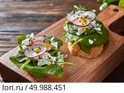 Healthy vegetarian snack. Traditional italian food with homemade bruschetta - cream cheese, spinach leaves, radish on a wooden cutting board.. Ciabatta toasts with soft cottage cheese, slices of radish, fresh spinach, flax seeds on wooden background. Стоковое фото, агентство Ingram Publishing / Фотобанк Лори