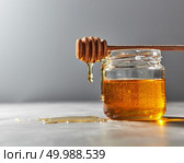 Organic sweet flower hohey dripping from honey dipper into glass pot on a gray background, place for text. Pure natural sweet goodness.. Dripping organic natural fresh honey from glass pot on a gray kitchen table. Rosh hashanah jewish New Year healthy holiday . Стоковое фото, агентство Ingram Publishing / Фотобанк Лори
