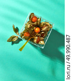 Berries of ripe physalis with a peel in a basket with a plastic fork, reflection of shadows on a green background, top view. Orange physalis in a basket with a fork represented on a green background. Стоковое фото, агентство Ingram Publishing / Фотобанк Лори