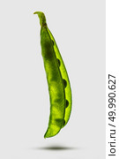 A pod of green peas is enlightened and vertically hanging with grains on a white background with shadows on the surface.. A pod of open young green peas with peas hanging vertically isolated on a white background. Стоковое фото, агентство Ingram Publishing / Фотобанк Лори