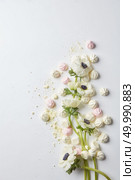 post card from flowers and meringue on a white background, flat lay. post card from flowers. Стоковое фото, агентство Ingram Publishing / Фотобанк Лори