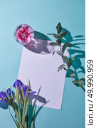Glass vase with pink flower, a bouquet of lilac irises and a white sheet of paper as a greeting card on a blue background with shadows, a top view. bouquet of irises on a blue background with a glass vase and a white paper, top view. Стоковое фото, агентство Ingram Publishing / Фотобанк Лори