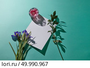 White frame decorated with a bouquet of purple flowers, a green branch and a transparent round vase with a pink flower with a reflection of shadows on a green paper background. Flat lay. Composition from a bouquet of purple irises of a green twig and vase with a pink flower with a white copy space for text on a green paper background. Стоковое фото, агентство Ingram Publishing / Фотобанк Лори