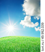 Green meadow in mountain. Composition of nature. Стоковое фото, агентство Ingram Publishing / Фотобанк Лори