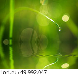 Macro of raindrop. Стоковое фото, агентство Ingram Publishing / Фотобанк Лори