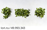 Punctuation marks from green leaves isolated on white background. Leaf covered punctuation symbols - part of full alphabet.. Punctuation marks from green leaves. Стоковое фото, агентство Ingram Publishing / Фотобанк Лори