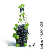 bottle of wine made from a grapevine on a white background. bottle of wine on a white background. Стоковое фото, агентство Ingram Publishing / Фотобанк Лори
