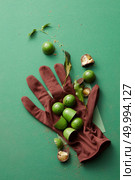 chocolates on the glove and leaves on a green background with space for text. green chocolate candy with jelly. Стоковое фото, агентство Ingram Publishing / Фотобанк Лори