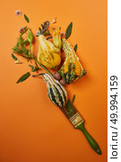 The brush is presented on an orange background with different pumpkins, leaves, nuts and flowers. Autumn composition flat lay. Autumn composition with a brush and pumpkins. Стоковое фото, агентство Ingram Publishing / Фотобанк Лори