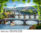 View of bridges in a row on river Vltava in Prague. Стоковое фото, агентство Ingram Publishing / Фотобанк Лори