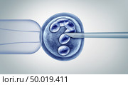 Genetic editing questions and gene research in vitro genome engineering and medical biotechnology as CRISPR health care concept with a fertilized human egg embryo and a group of dividing cells as a 3D illustration. Стоковое фото, агентство Ingram Publishing / Фотобанк Лори