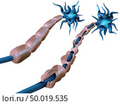 Multiple sclerosis or MS autoimmune disease with healthy nerve and damaged myelin with exposed fibre with scarrred cell sheath loss as a 3D illustration. Стоковое фото, агентство Ingram Publishing / Фотобанк Лори