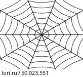 Spider web illustration. Стоковая иллюстрация, иллюстратор Максим Гребешков / Фотобанк Лори