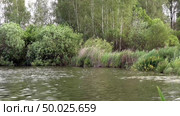 Берег лесного озера перед грозой. Подмосковье. Июнь. The shore of a forest lake before a thunderstorm. Moscow region. June. Стоковое видео, видеограф Горшков Александр / Фотобанк Лори