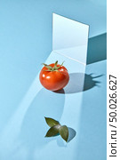 A mirror, a ripe tomato and leaves on a blue background with shadows and a copy of a spacer. Creative food composition. Composition of green leaves of juicy tomato and a mirror on a blue background with copy space for text. Creative food layout. Стоковое фото, агентство Ingram Publishing / Фотобанк Лори