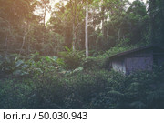 Old wooden house in the forest. Стоковое фото, агентство Ingram Publishing / Фотобанк Лори