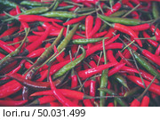 Chili in the plot pushed free of chemicals. Стоковое фото, агентство Ingram Publishing / Фотобанк Лори