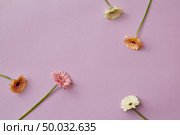Forming a round frame with a place for text from tender multi-colored flowers on a light pink background. Stop motion animation. Flat lay.. Delicate beautiful pastel colors of gerberas appear and form a pattern, a round frame on a pink background. The idea for congratulations on the holiday. Стоковое фото, агентство Ingram Publishing / Фотобанк Лори