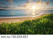 Sundown seascape composition. Sky, sea, and green grass. Relax on the sea. Стоковое фото, агентство Ingram Publishing / Фотобанк Лори