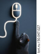 Curious gray cat reaches for a glowing computer mouse on dark background, combining technology and pet behavior in a humorous and visually striking concept image. Стоковое AI-изображение, AI-художник Катерина Бондарец / Фотобанк Лори