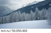 A snowy landscape with tree branches covered in snow, snowy mountains in the background, soft muted light, frontal view. Стоковое AI-видео, аниматор Sergey Grishin / Фотобанк Лори