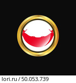 Ecuador flag Golden button. Стоковая иллюстрация, агентство Ingram Publishing / Фотобанк Лори