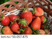 Клубника в корзине, наполнена солнцем. Sunny strawberries close up. Стоковое фото, фотограф Photolart / Фотобанк Лори