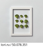 Creative pattern of natural freshly picked organic broccoli in a frame on a light gray background, place for text. Top view. Vegetarian food concept.. Fresh organic broccoli set in a frame on a light gray background. Стоковое фото, агентство Ingram Publishing / Фотобанк Лори