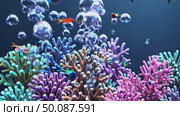 Vibrant underwater coral reef with colorful fish and rising bubbles. Стоковое AI-видео, аниматор Владимир Федоров / Фотобанк Лори