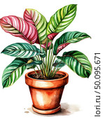 Calathea plant in a pot. Watercolor illustration on white background. Element, Sticker, Poster. Houseplants. Стоковое AI-изображение, AI-художник Ирина Самойлова / Фотобанк Лори