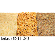 Gozinaki. Isolated food object. Стоковое фото, агентство Ingram Publishing / Фотобанк Лори