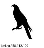 Bird Silhouette. Vector Illustration. . Стоковая иллюстрация, агентство Ingram Publishing / Фотобанк Лори