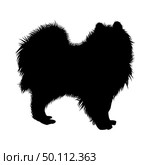 Samoyed Dog Silhouette. Smooth Vector Illustration. Стоковая иллюстрация, агентство Ingram Publishing / Фотобанк Лори