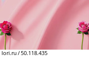 AI Generative Postcard with copyspace for text on color background with flowers for March 8. Стоковое AI-видео, аниматор Spirit River / Фотобанк Лори