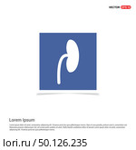 kidney icon - Blue photo Frame. Стоковая иллюстрация, агентство Ingram Publishing / Фотобанк Лори