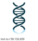 DNA Icon. Shadow Reflection Design. Vector Illustration. Стоковая иллюстрация, агентство Ingram Publishing / Фотобанк Лори