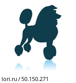 Poodle Icon. Shadow Reflection Design. Vector Illustration. Стоковая иллюстрация, агентство Ingram Publishing / Фотобанк Лори