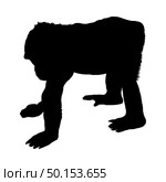 Gorilla Silhouette. Highly Detailed Smooth Design. Vector Illustration. Стоковая иллюстрация, агентство Ingram Publishing / Фотобанк Лори