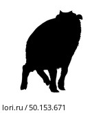 Bison Silhouette. Highly Detailed Smooth Design. Vector Illustration. Стоковая иллюстрация, агентство Ingram Publishing / Фотобанк Лори