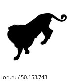 Lion Silhouette. Highly Detailed Smooth Design. Vector Illustration. Стоковая иллюстрация, агентство Ingram Publishing / Фотобанк Лори